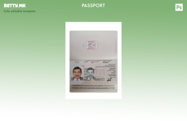 Модерен стил Палестински пасош сегашен шаблон